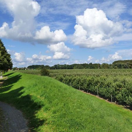Fewo Im Alten Land Hamburg Zewnętrze zdjęcie