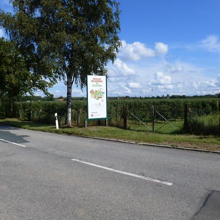 Fewo Im Alten Land Hamburg Zewnętrze zdjęcie
